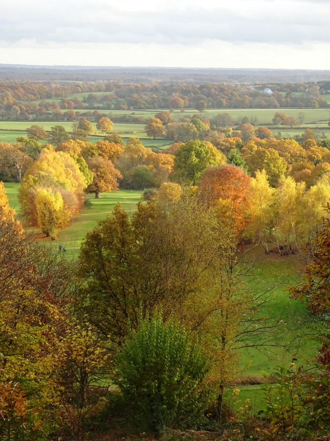 Looking SE from the Terrace (2)